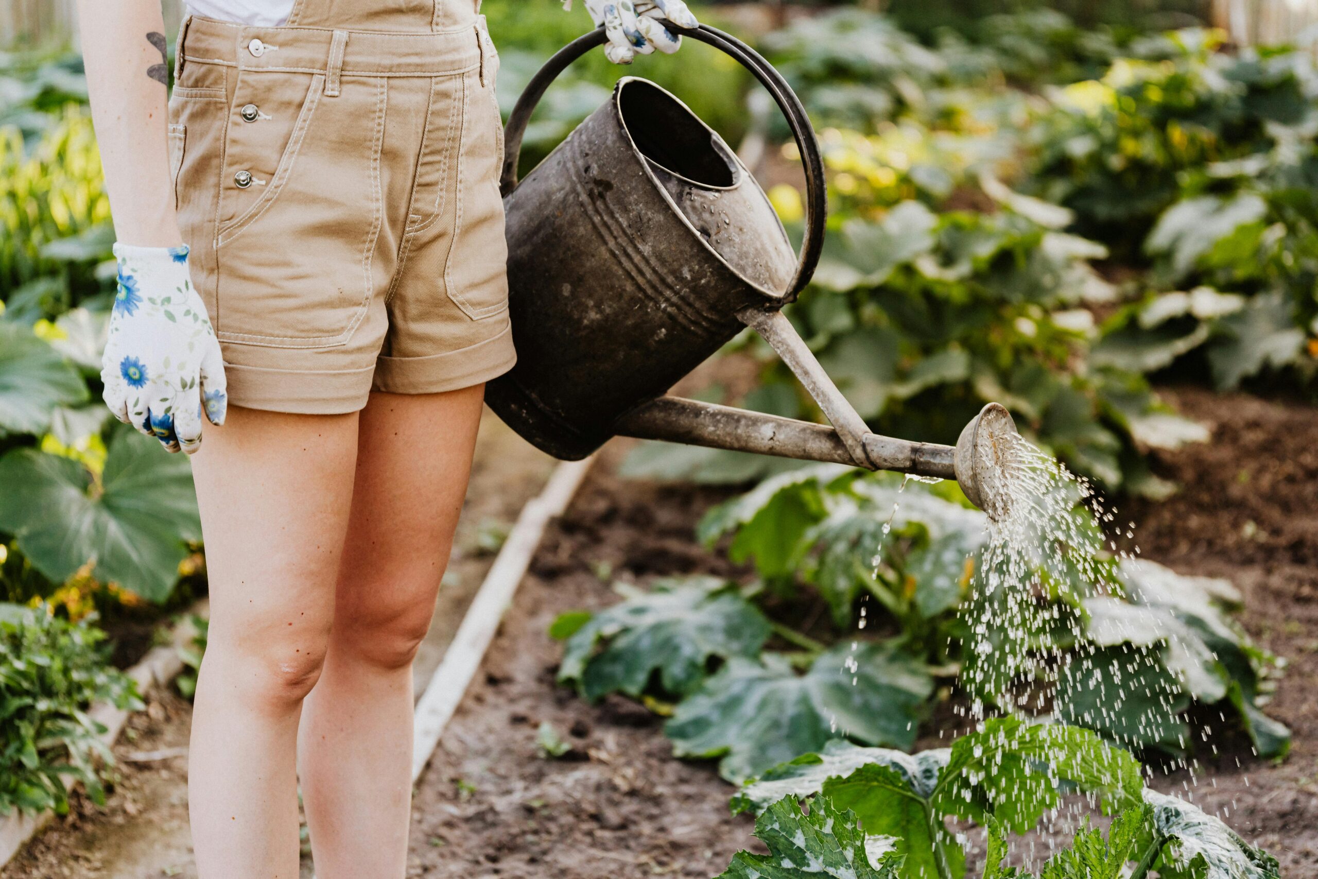 Photo by Karolina Kaboompics: https://www.pexels.com/photo/person-in-brown-shorts-watering-the-plants-4750270/