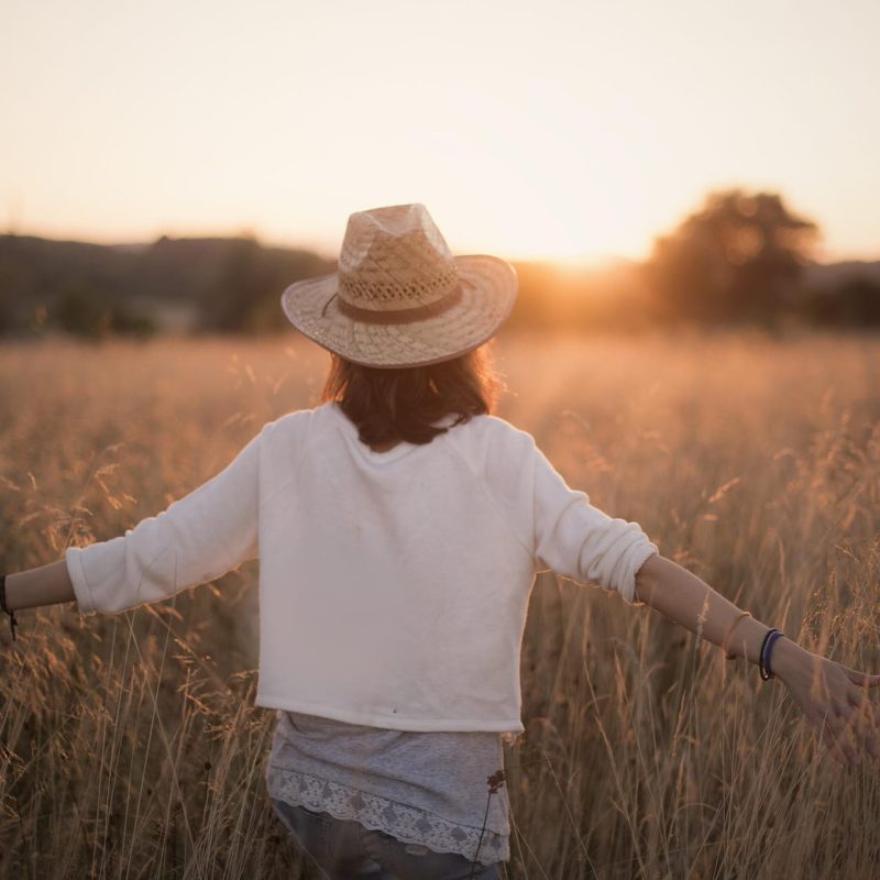 petig-sunset-5238044_1920